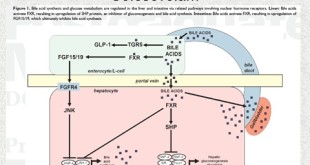 DCMS49_HS_Image