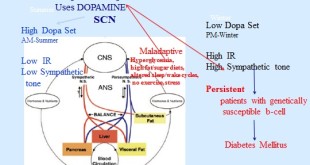 DCMS69_HS_Image