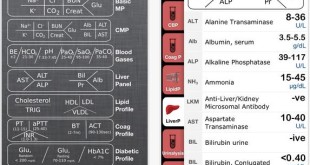 LabGear