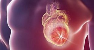 Heart
