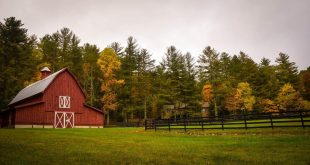 Farm scene